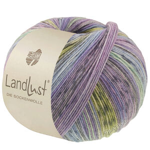 Lana Grossa LANDLUST DIE SOCKENWOLLE | 618-bleu comme violettes/jean/bleu clair/gris clair/gris foncé/jade/pistache/lilas rayé