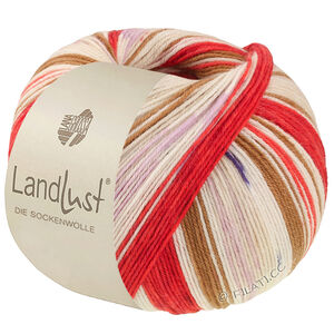Lana Grossa LANDLUST DIE SOCKENWOLLE | 725-rouge oriental/rouge fraise/écru/brun/rose/lilas/beige clair/bleu foncé rayé