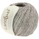 Lana Grossa LANDLUST SOMMERSEIDE Mélange | 104-gris/brun/beige