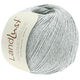 Lana Grossa LANDLUST SOMMERSEIDE | 026-gris glace