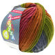 Lana Grossa LEI Dégradé | 513-olive foncé/bordeaux/gris foncé