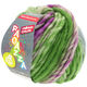 Lana Grossa LEI Tweed Color (Ragazza) | 402-gris bleu/vert/violet rouge chiné