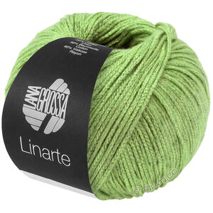 Lana Grossa LINARTE | 338-vert printanier