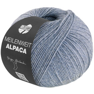 Lana Grossa MEILENWEIT 6-FACH 150g Alpaca | 1012-bleu gris