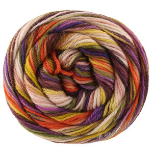 Lana Grossa MEILENWEIT 6-FACH 150g Cascata | 9747-brun de cannelle/violet/orange foncé/beige clair/limette/pistache/olive