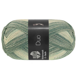Lana Grossa MEILENWEIT 6-FACH 150g Duo | 9725-gris vert/gris clair