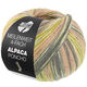 Lana Grossa MEILENWEIT 100g Alpaca Poncho | 2724-gris argent/gris clair/gris foncé/olive clair/beige sable