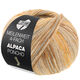 Lana Grossa MEILENWEIT 100g Alpaca Poncho | 2726-beige sable/taupe/brun/beige clair/caramel