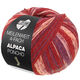 Lana Grossa MEILENWEIT 100g Alpaca Poncho | 2727-rouge vin/violet rouge/bleu prune/kiwi/rose