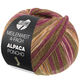 Lana Grossa MEILENWEIT 100g Alpaca Poncho | 2728-vert mousse/violet rouge/écru/orange/brun