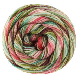 Lana Grossa MEILENWEIT 100g Cascata | 5205-moka/brun foncé/brun gris/rose/vert tendre/beau vert Tilleul/gris vert/jade/rose vif/turquoise