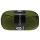 Lana Grossa MEILENWEIT 50g Cashmere | 77-vert mousse
