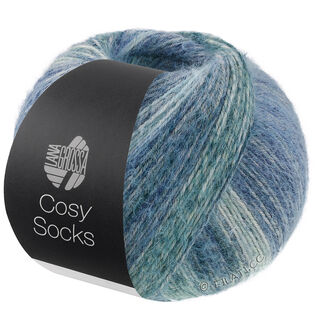 Lana Grossa MEILENWEIT 100g Cosy Socks Dream