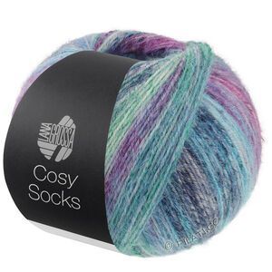 Lana Grossa MEILENWEIT 100g Cosy Socks Dream | 255-gris bleu/pétrole/turquoise/violet bleu/violet rouge/bleu clair/jean/jade
