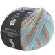 Lana Grossa MEILENWEIT 100g Cotton Bamboo Denim | 3315-gris clair/bleu glace/gris/brun noisette/bleu foncé/bleu clair