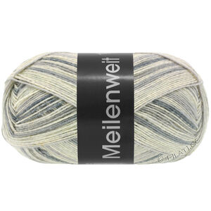 Lana Grossa MEILENWEIT 100g Black Denim Mix | 4656-gris argent/écru/gris clair/gris moyen/gris foncé
