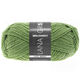 Lana Grossa MEILENWEIT 50g Late Night | 2914-vert pastel