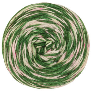 Lana Grossa MEILENWEIT 100g Merino Hand-dyed | 06-vert sapin/vert sauge/écru/rose poudré