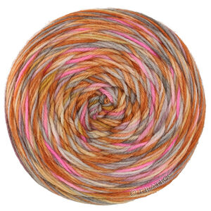 Lana Grossa MEILENWEIT 100g Merino Hand-dyed | 42-saumon/cognac/ocre/gris/kaki/rose/rose vif/curry