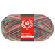 Lana Grossa MEILENWEIT 100g Merino Christmas | 6807-blanc/vert foncé/brun foncé/orange/vert clair