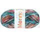 Lana Grossa MEILENWEIT 100g Merino Extrafine Meran | 2581-gris clair/anthracite/orange/rose/turquoise/vert bouteille/framboise