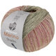Lana Grossa MEILENWEIT 100g Merino Extrafine Shades | 7232-vert pastel/gris vert/beige clair/beige/rose vif
