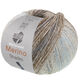 Lana Grossa MEILENWEIT 100g Merino Extrafine Shades | 7234-menthe/gris clair/gris foncé/brun gris