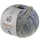 Lana Grossa MEILENWEIT 100g Merino Extrafine Shades | 7235-gris clair/gris foncé/bleu clair/bleu foncé/bleu nuit