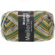 Lana Grossa MEILENWEIT 100g Modello | 4375-gris clair/caramel/moutarde/vert foncé/améthyste