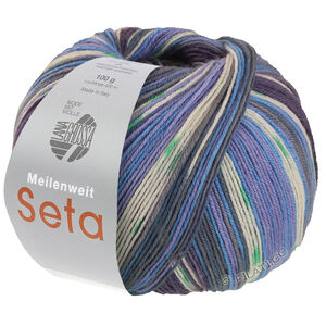 Lana Grossa MEILENWEIT 100g Seta Giappone | 3385-violet bleu/blanc/olive/bleu ciel/gris/pourpre bleu/vert