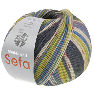 Lana Grossa MEILENWEIT 100g Seta Giappone | 3387-gris foncé/écru/terre cuite/limette/gris souris/pistache/bleu azur