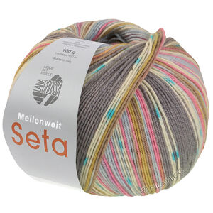 Lana Grossa MEILENWEIT 100g Seta Giappone | 3388-gris/écru/turquoise/pistache/bleu pastel/taupe/oeillet rose