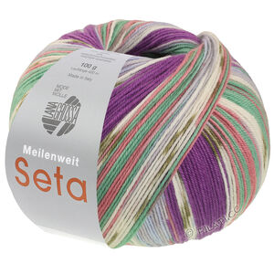 Lana Grossa MEILENWEIT 100g Seta Giappone | 3389-violet bleu/blanc/olive/bleu clair/jade/vieux rose/gris clair