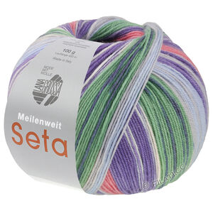 Lana Grossa MEILENWEIT 100g Seta Hokkaido | 3585-bruyère/gris clair/violet bleu/bleu clair/jade/gris foncé/blanc