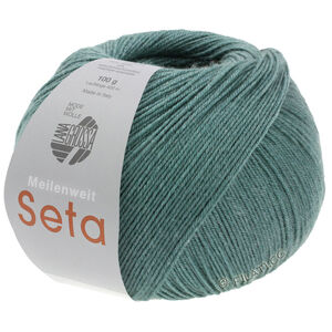 Lana Grossa MEILENWEIT 100g Seta | 07-gris vert