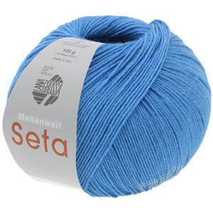 Lana Grossa MEILENWEIT 100g Seta | 31-bleu