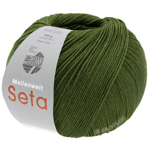 Lana Grossa MEILENWEIT 100g Seta | 49-feuille verte