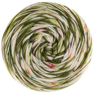 Lana Grossa MEILENWEIT 100g SPOTS | 7046-vert mousse/vert tendre/écru/turquoise/gris foncé/rose vif/rose