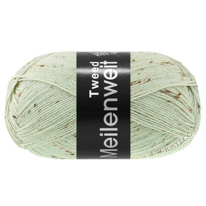 Lana Grossa MEILENWEIT 100g Tweed | 182-vert blanc