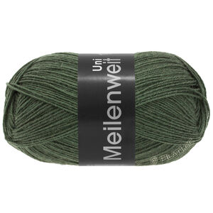 Lana Grossa MEILENWEIT 100g | 1378-vert loden