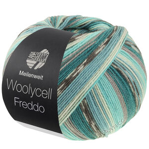 Lana Grossa MEILENWEIT 100g Woolycell Freddo | 6044-vert pétrole/gris moyen/turquoise/menthe/vert lac/gris foncé/gris clair