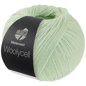 Lana Grossa MEILENWEIT 100g Woolycell | 06-vert blanc