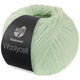 Lana Grossa MEILENWEIT 100g Woolycell | 06-vert blanc
