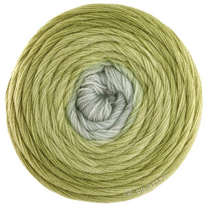 Lana Grossa MERINO LACE AQUARELL | 01-olive/olive clair/gris vert