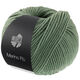 Lana Grossa MERINO PIÙ | 04-vert laurier-rose