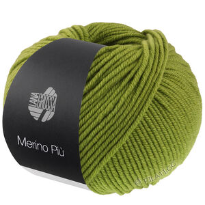 Lana Grossa MERINO PIÙ | 06-vert mai