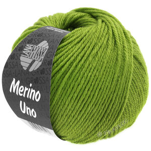 Lana Grossa MERINO UNO | 21-pomme verte