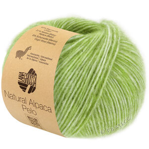 Lana Grossa NATURAL ALPACA Pelo | 033-vert mai chiné