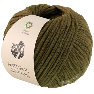 Lana Grossa NATURAL COTTON (GOTS) | 02-vert mousse