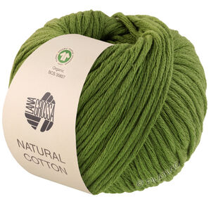 Lana Grossa NATURAL COTTON (GOTS) | 03-vert